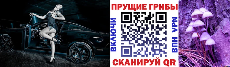 Псилоцибиновые грибы GOLDEN TEACHER Купить закладки Славгород